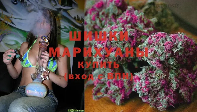 Каннабис White Widow  где купить   Кологрив 